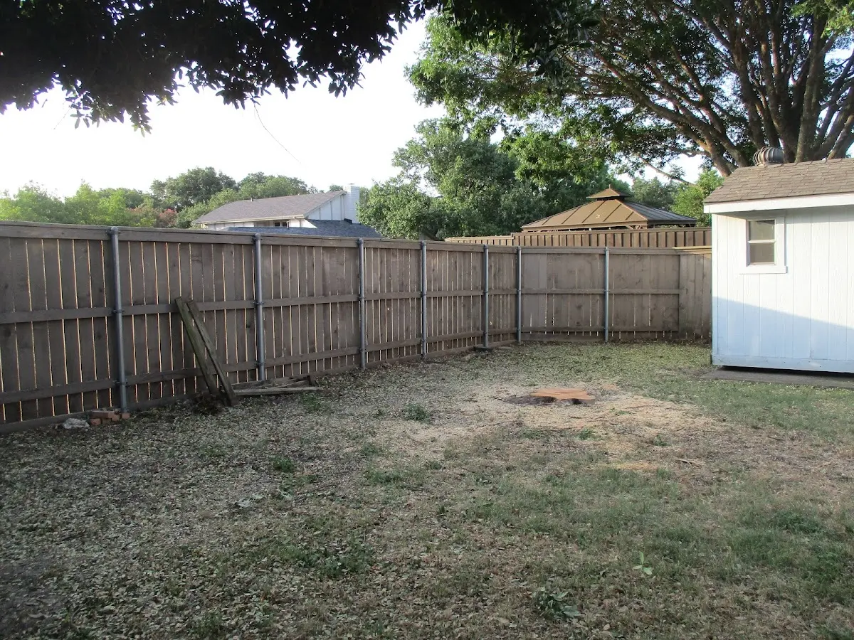 Cleared yard after professional tree removal in Chatham